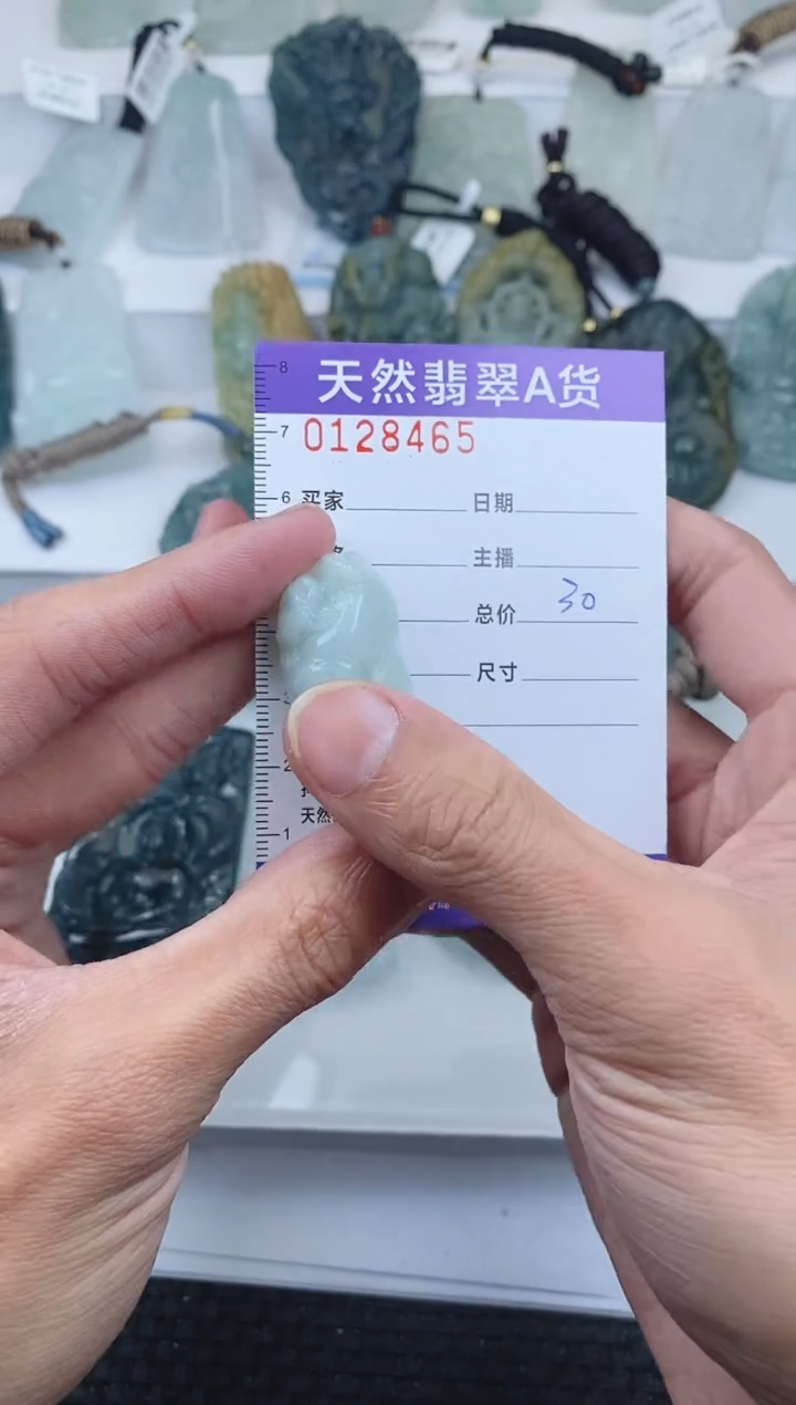 【闪购商品】翡翠颈饰未镶嵌      465