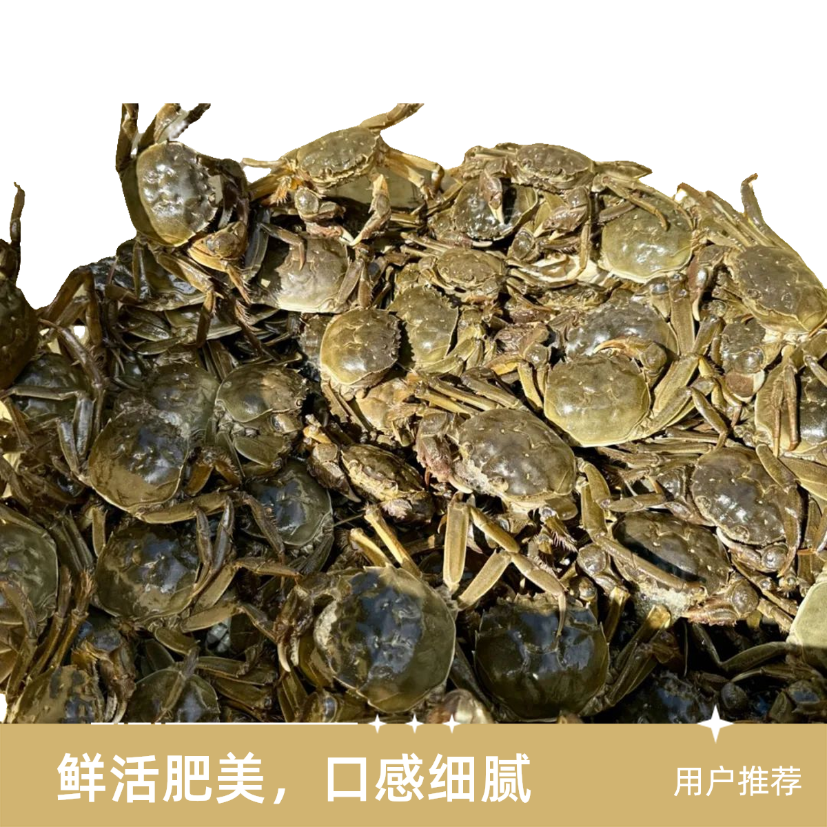 【活蟹】-其他河蟹-河蟹-母蟹一斤5~7个左右，单只1.5~1.8两