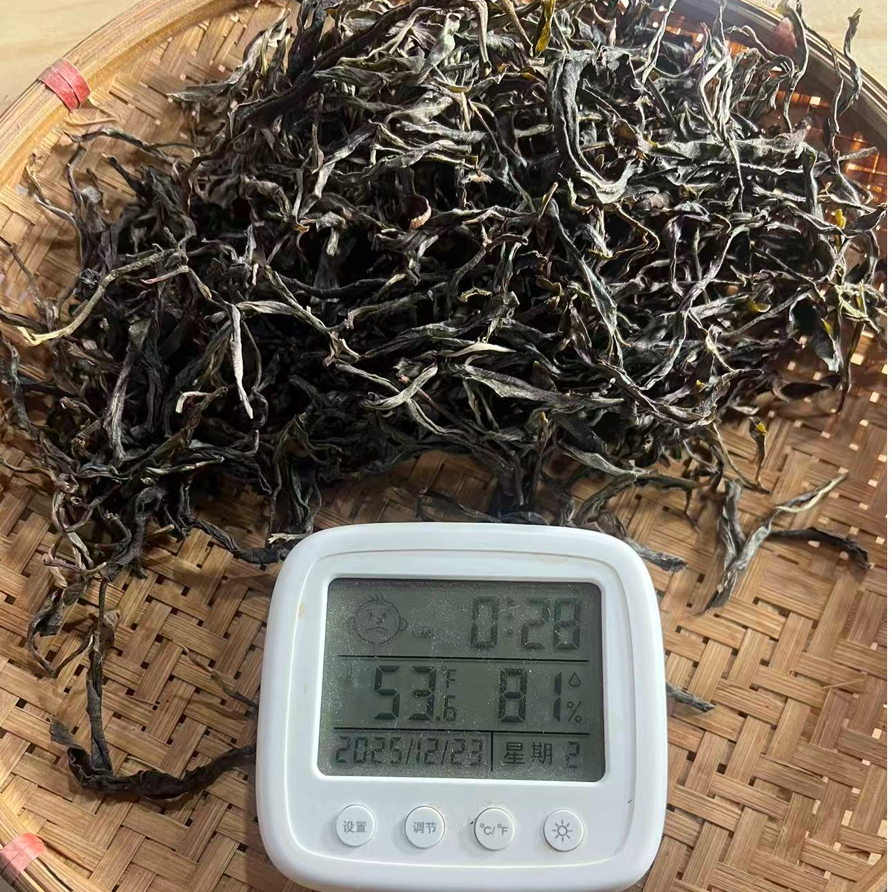 【40】2025年 冰岛后山 {春} 古树 生茶 散茶 200克 12-22