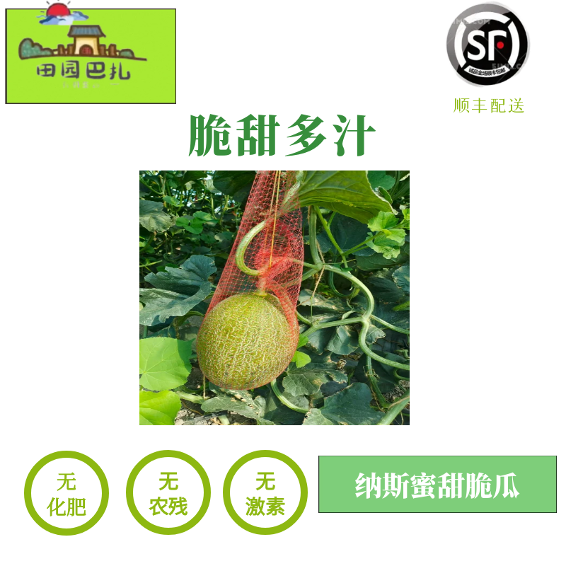 纳斯蜜甜脆奶茶风味甜瓜