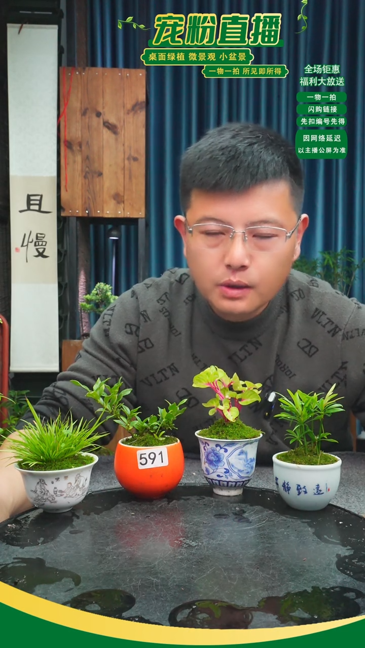 无花朵苏*苔藓微景观591号