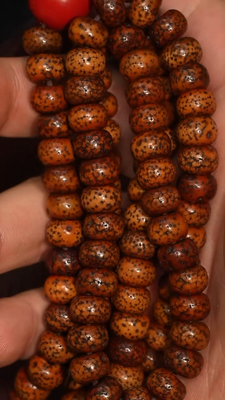 冲赛康胡子哥，藏传念珠258