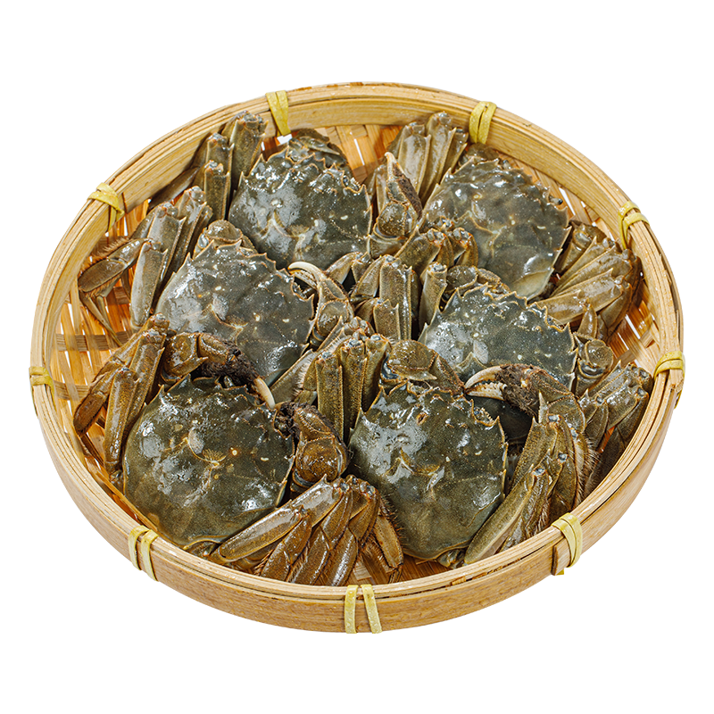 鲜活大闸蟹500g±15g/份（4-6只）公母随机两