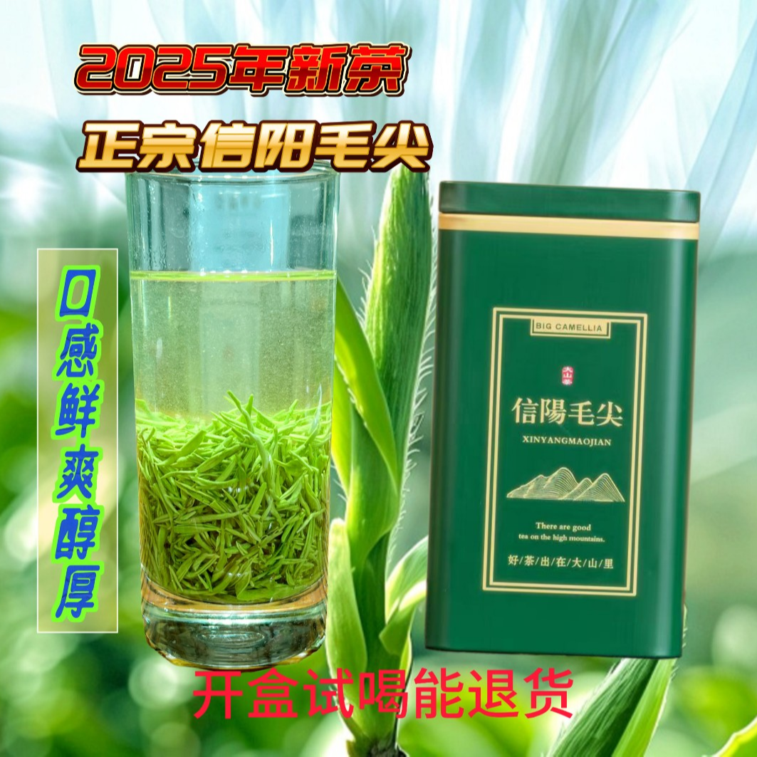 ②正宗信阳毛尖茶叶礼盒25年新茶手工抛条盒装茶袋装茶雨前口粮
