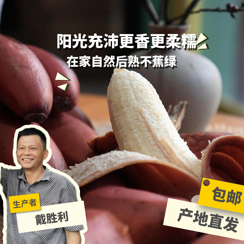 生态香蕉 2.5kg 绿手指份额农园