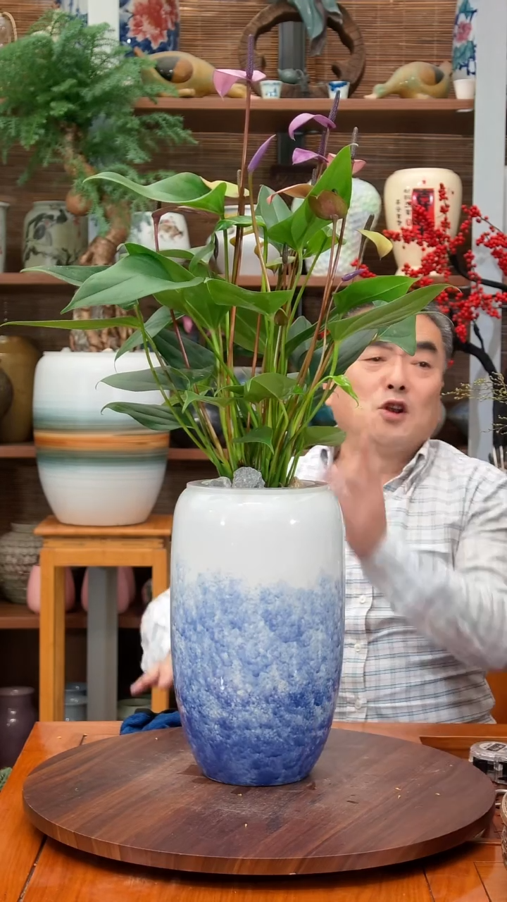 无花朵华*水之韵水培齐祖