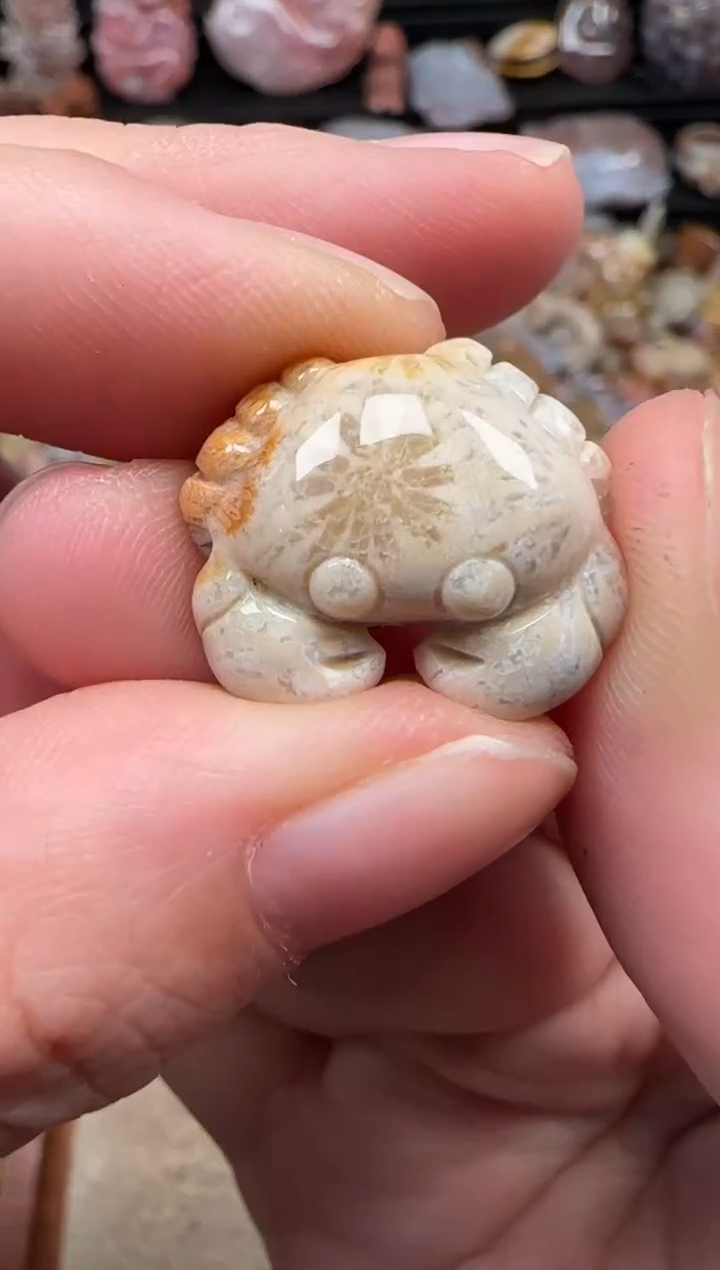 颈饰未镶嵌硅化珊瑚（珊瑚玉）045