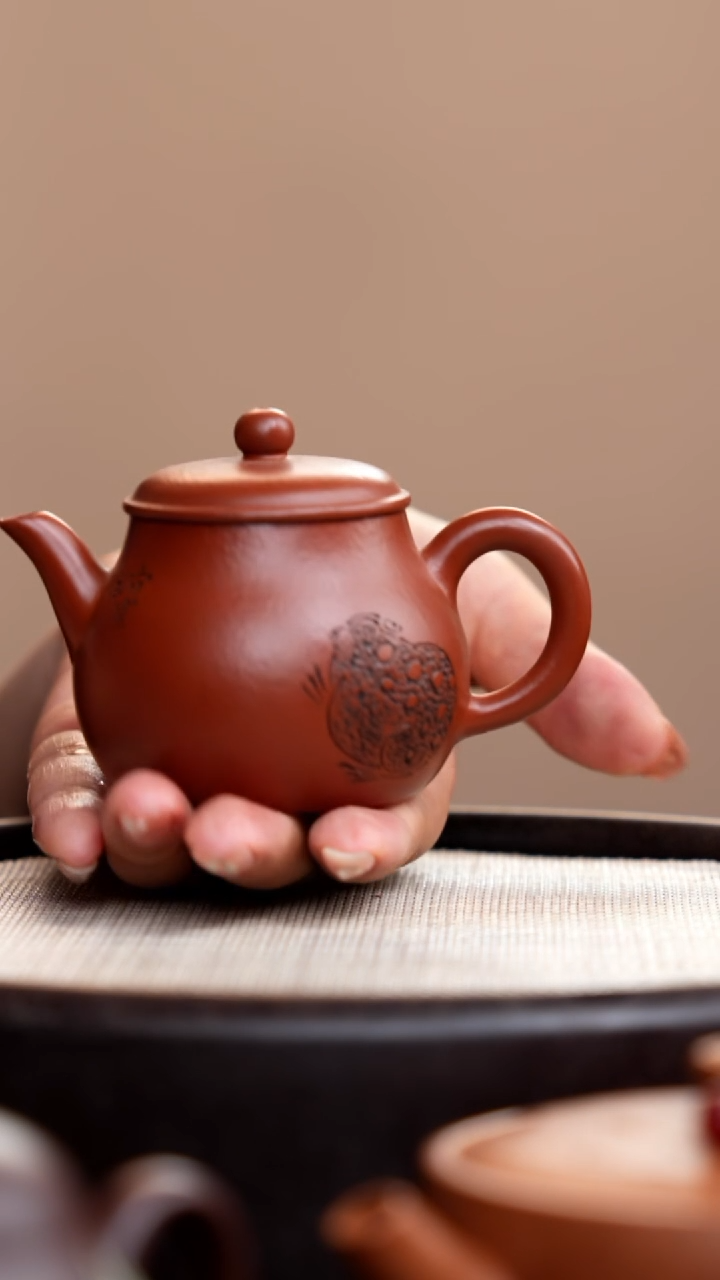 茶壶紫砂粗砂大红袍小金蟾壶