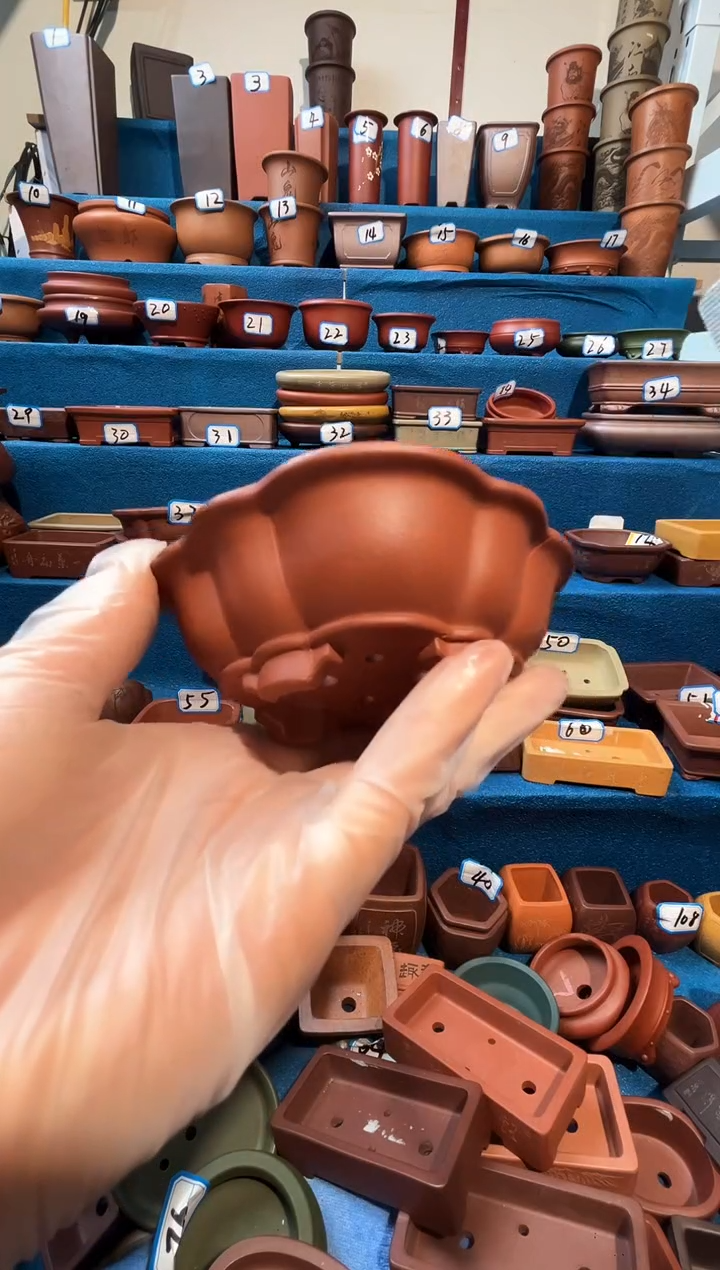 【闪购商品】紫砂紫砂花盆9.5*8.5*2.5