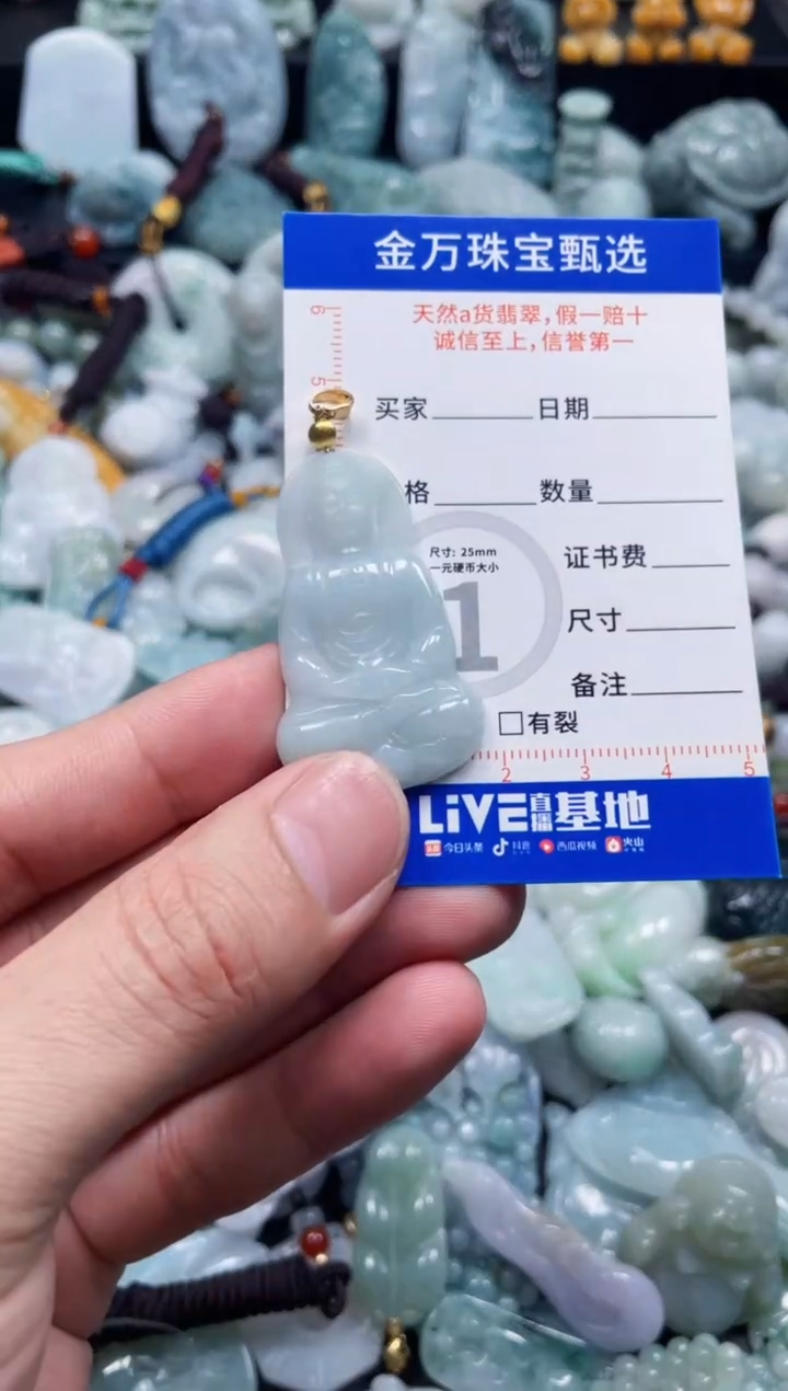 翡翠未镶嵌颈饰天然翡翠a货