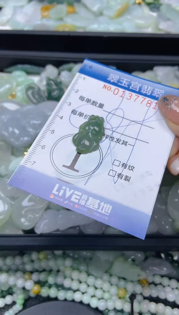 翡翠未镶嵌颈饰闪购0137781