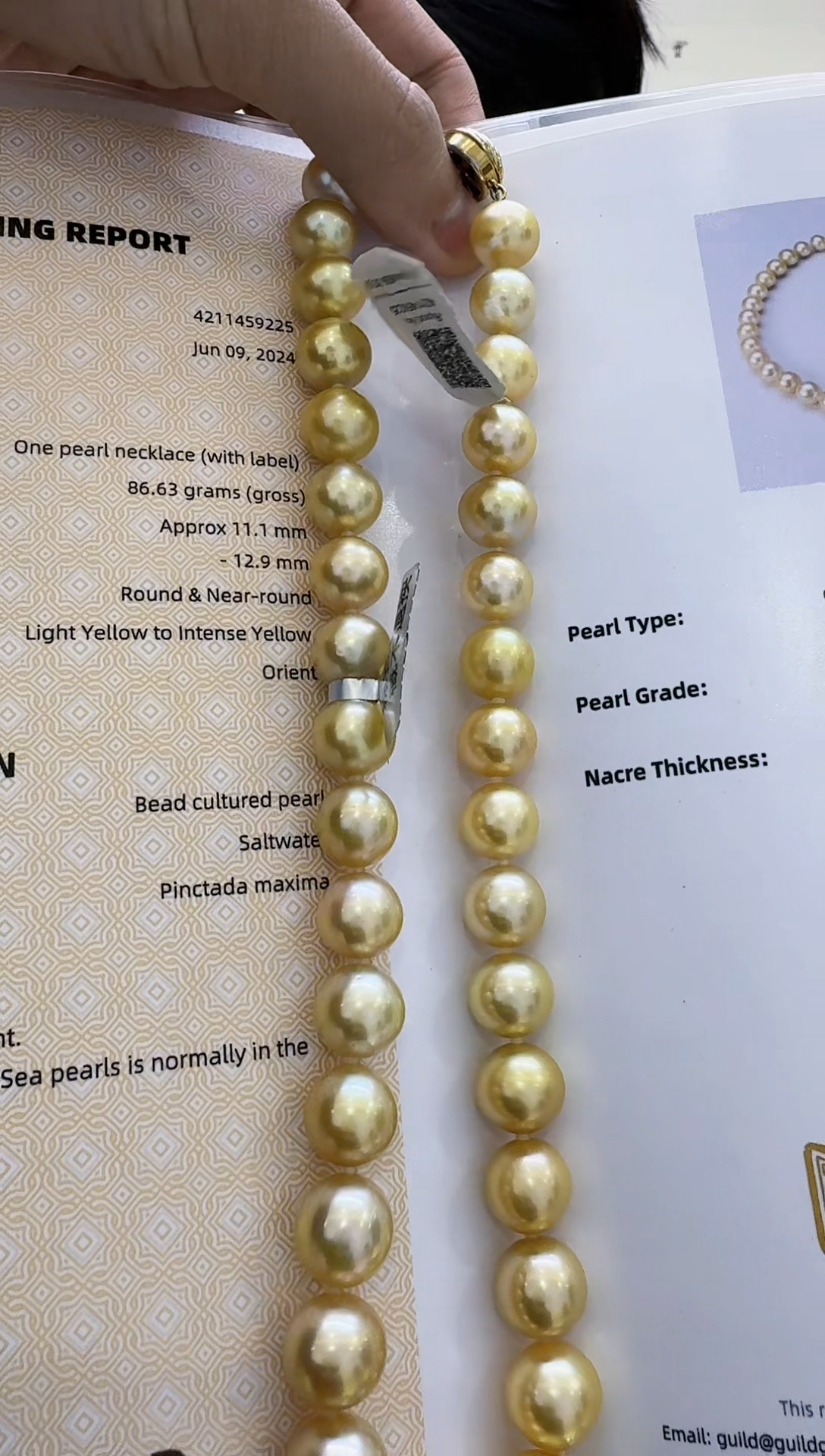 【闪购商品】海水珍珠颈饰未镶嵌吉尔德三星南洋海水金珍珠