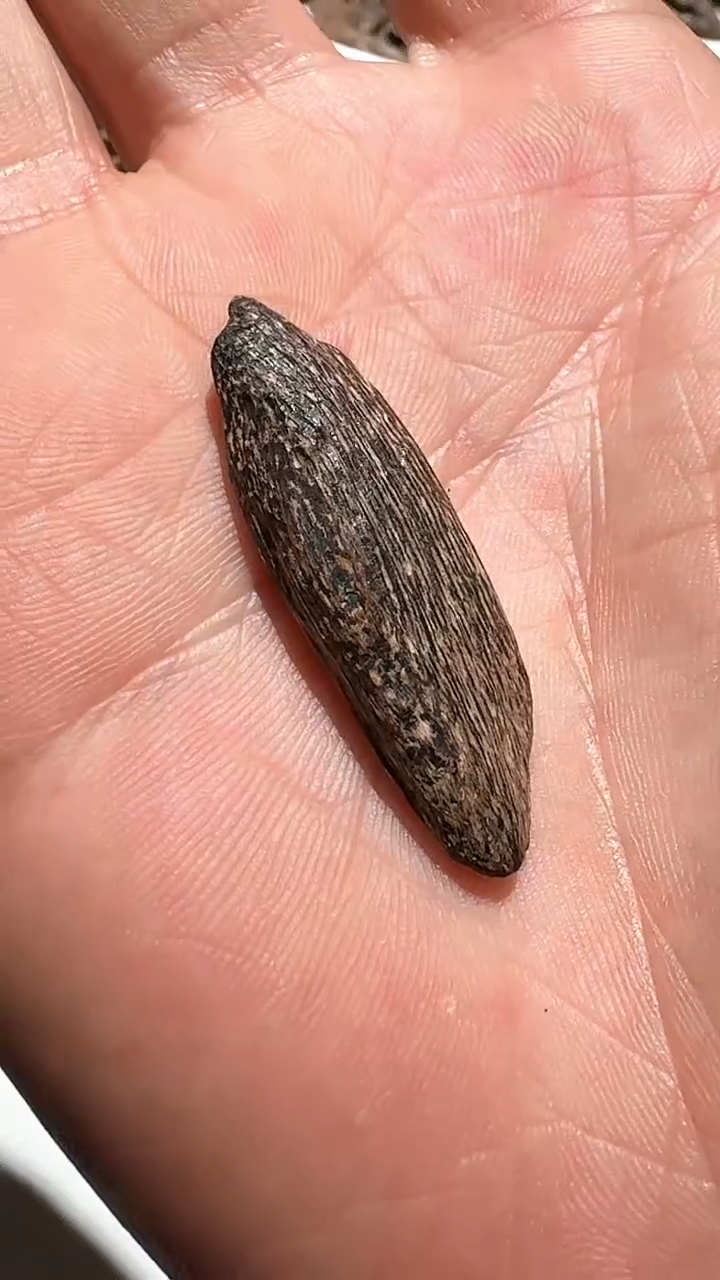 【闪购商品】沉香手把件海南虫眼1.01g