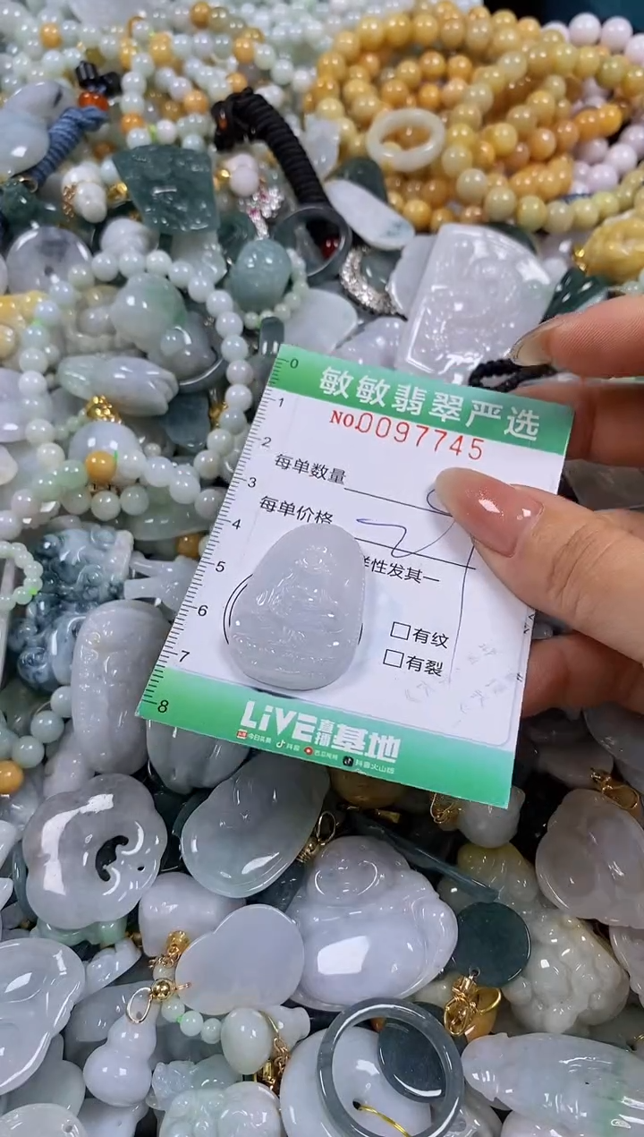 【闪购商品】翡翠颈饰未镶嵌闪购0097745