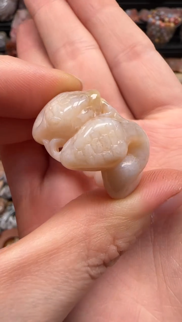 【闪购商品】硅化珊瑚（珊瑚玉）颈饰未镶嵌463