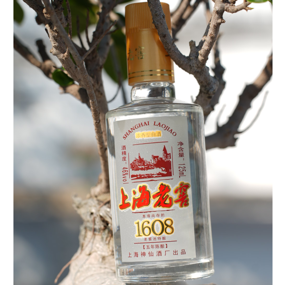 神仙上海老窖5年陈酿纯粮非遗传承浓香型小酒品尝装