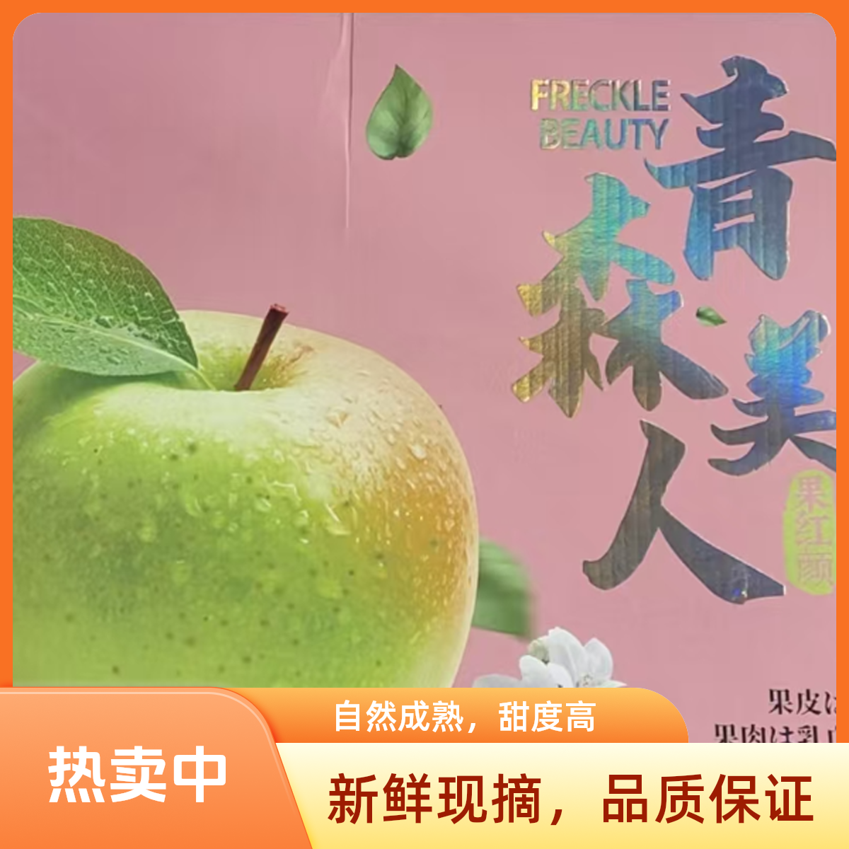 青森美人苹果9个