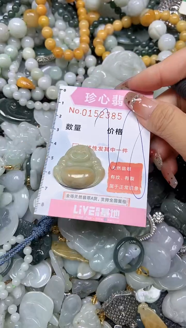 【闪购商品】翡翠颈饰未镶嵌闪购链接0152385