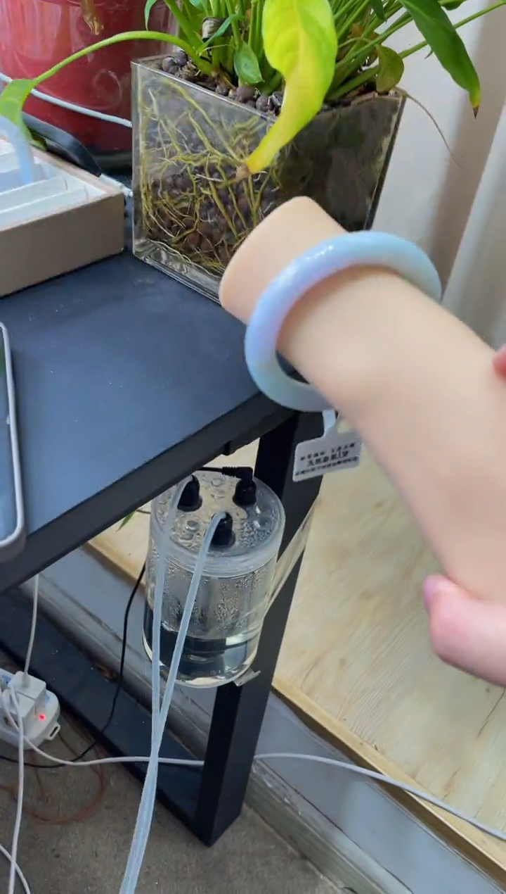 未镶嵌手镯翡翠033-52