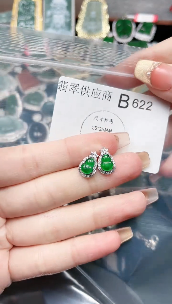 【闪购商品】翡翠颈饰未镶嵌622赠皮绳