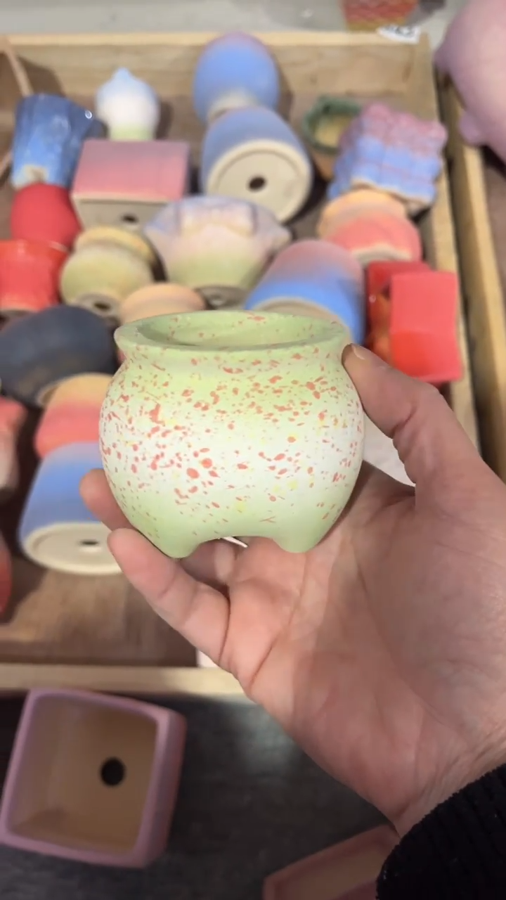 【闪购商品】陶内口 5  内高5