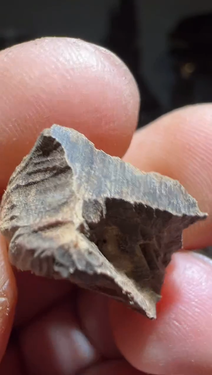 【闪购商品】沉香沉香碎屑加里曼丹1.4克