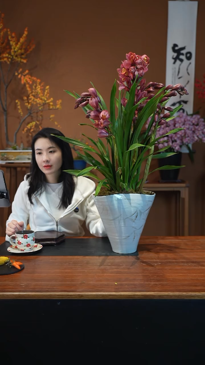 全部花朵梦寐以求盆景盆景