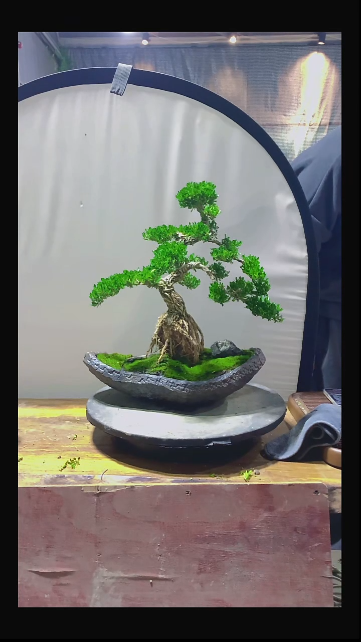 完全开放蜗*1111111111111