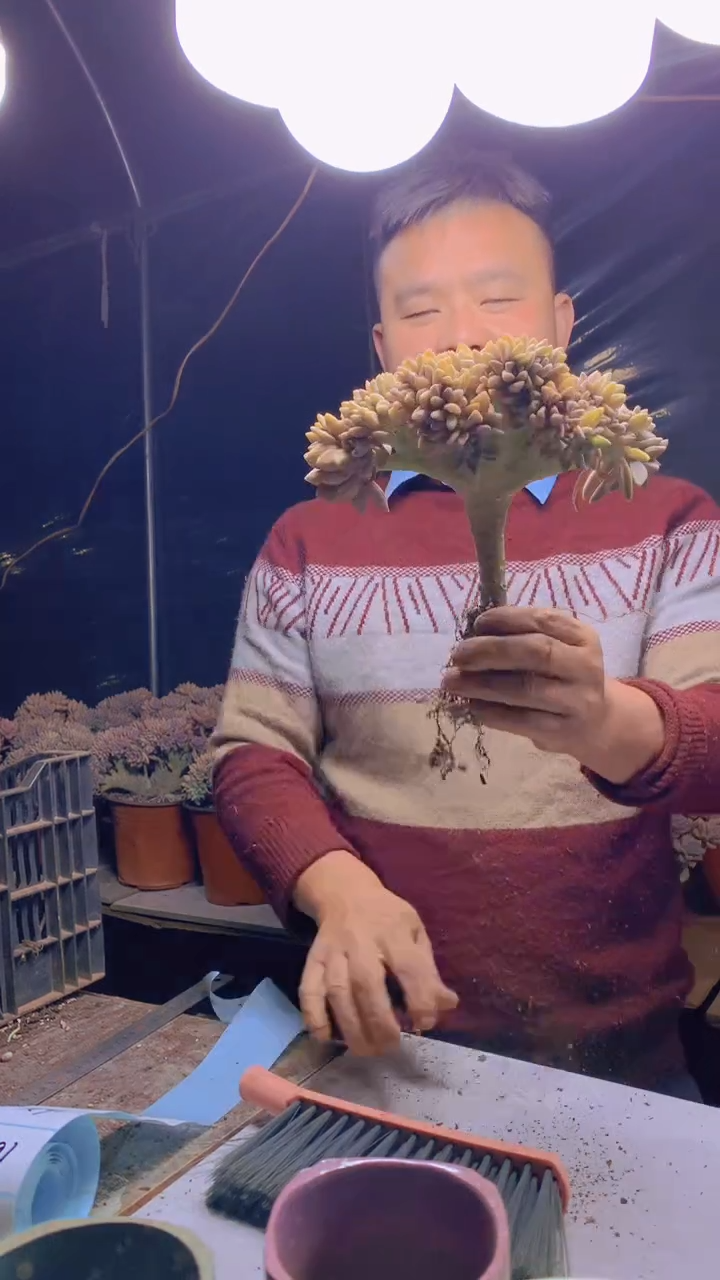 【闪购商品】缀化159