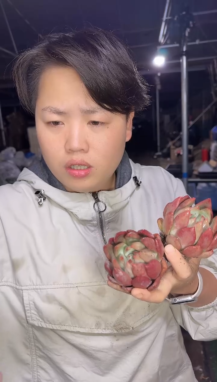 婚戒3颗   5     