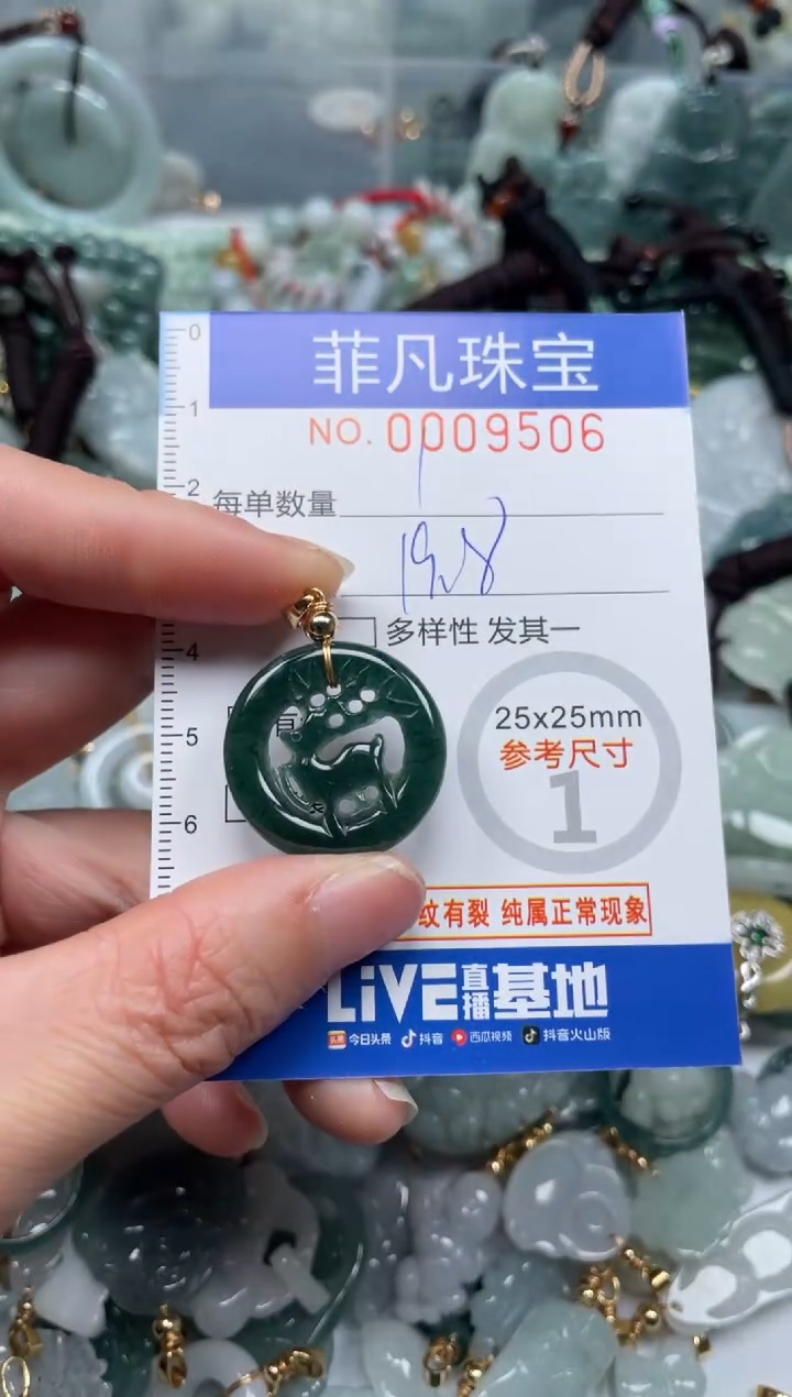 【闪购商品】翡翠颈饰未镶嵌00..9506