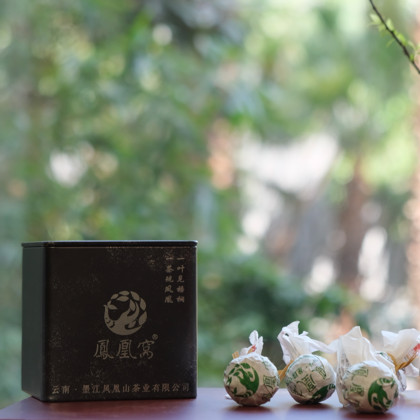 凤凰窝2024春 龙珠一号 古树混采（生茶）紧压茶 龙珠