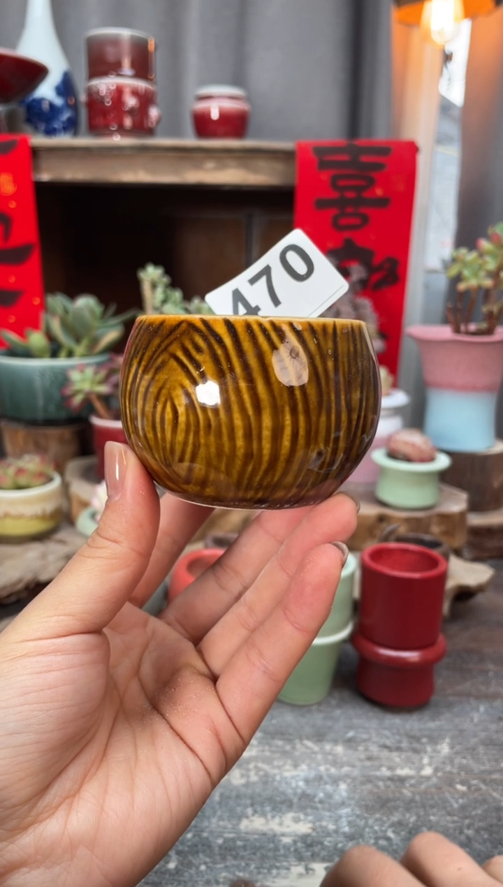 【闪购商品】摆件470知木小芳花盆