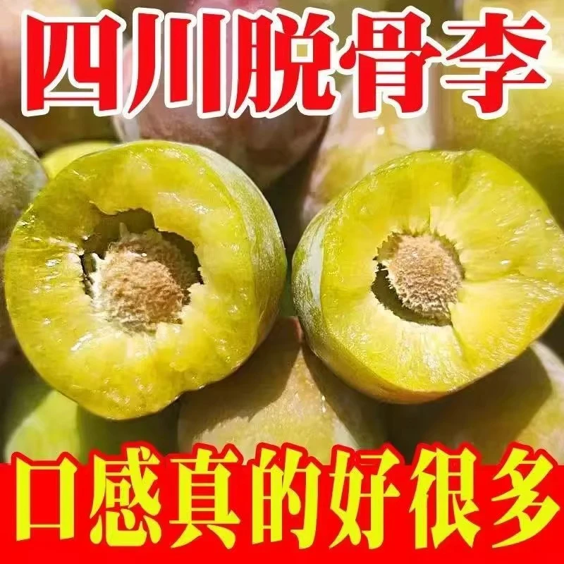 5斤半边红脱骨李新鲜采现采脆甜可口新鲜果园发货