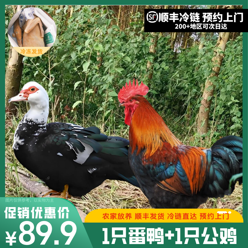 【鸡鸭组合】一只（净膛）番鸭+一只农家土公鸡 净膛宰杀后8斤 顺丰冷链包邮 鸭肉同城配