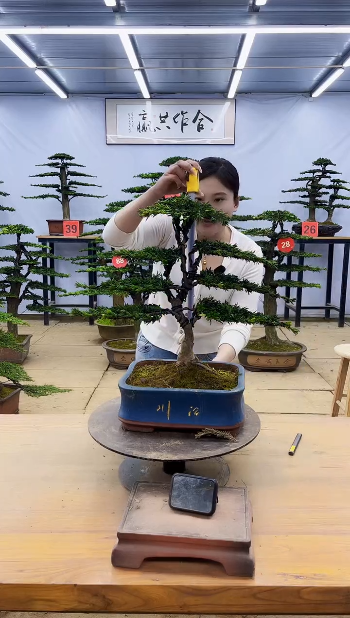 一物一拍，所见即所得