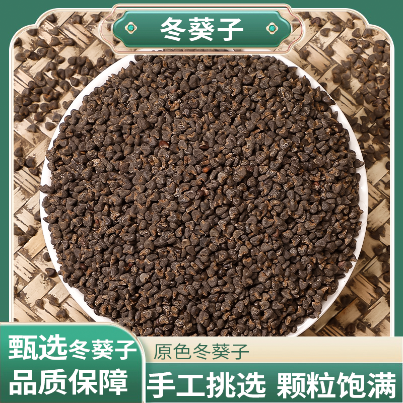 正宗精选好货【冬葵子】 