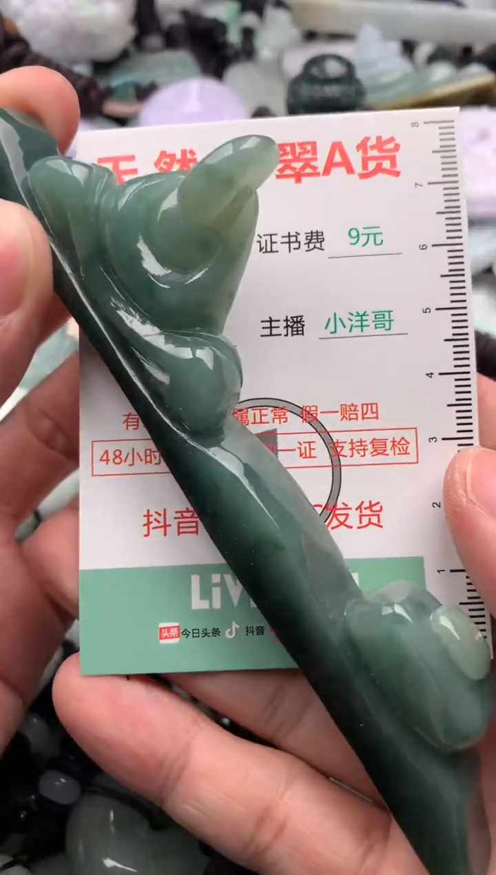 翡翠未镶嵌吊坠(不含链)1