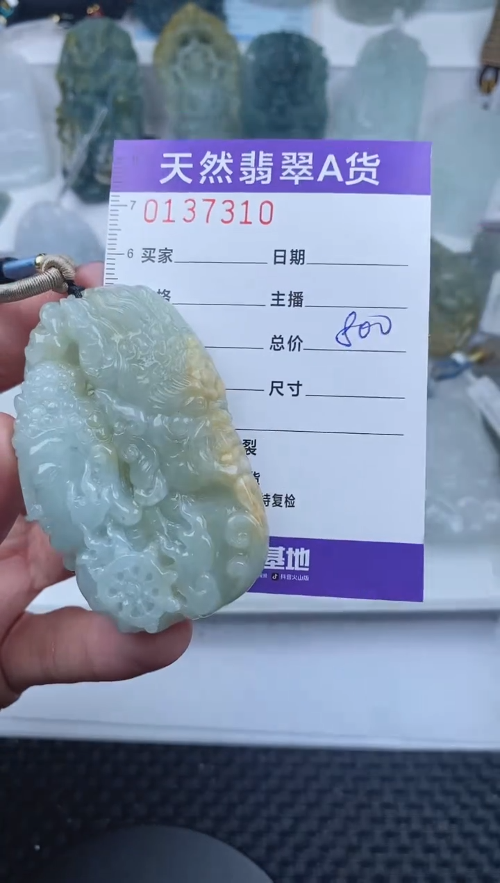 【闪购商品】翡翠颈饰未镶嵌       310