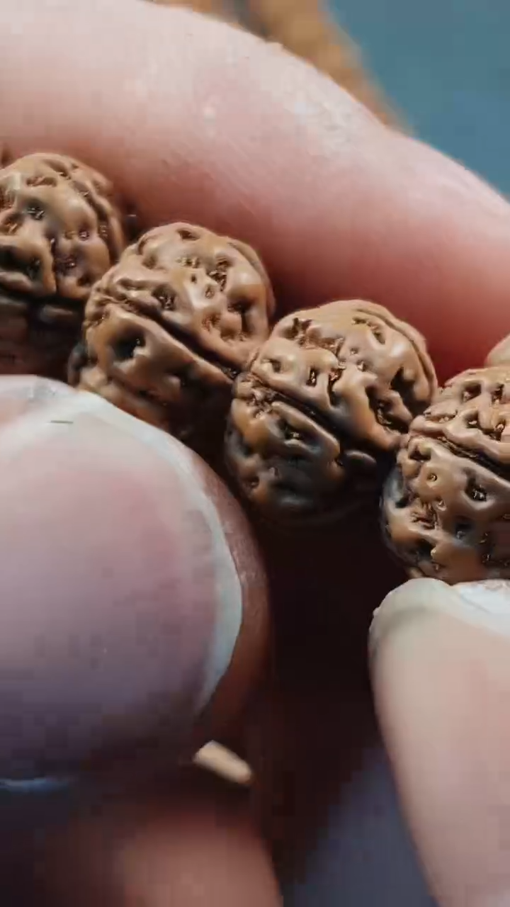 金刚菩提吊坠612纯血勿里达老树王10mm+刷子