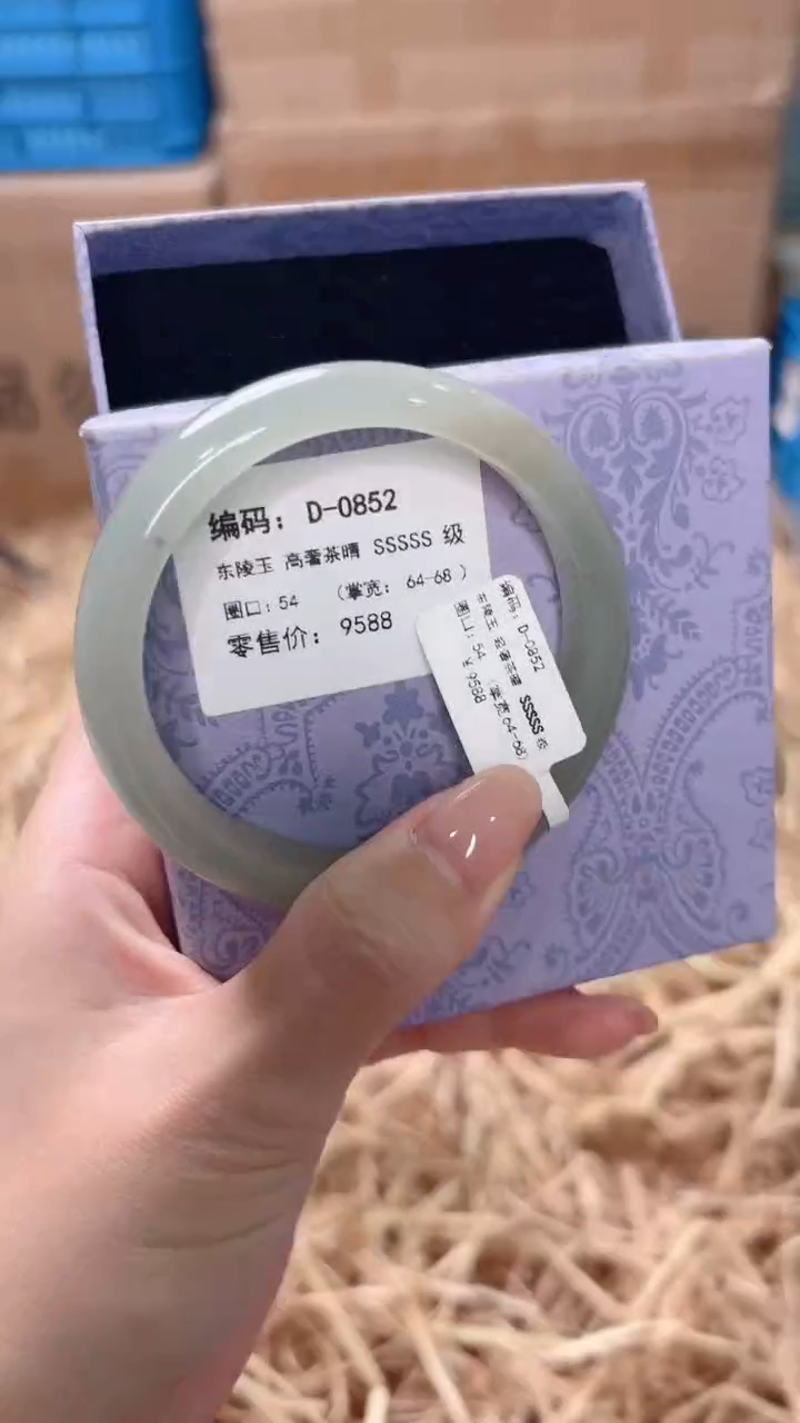 未镶嵌手镯石英质玉D-0852