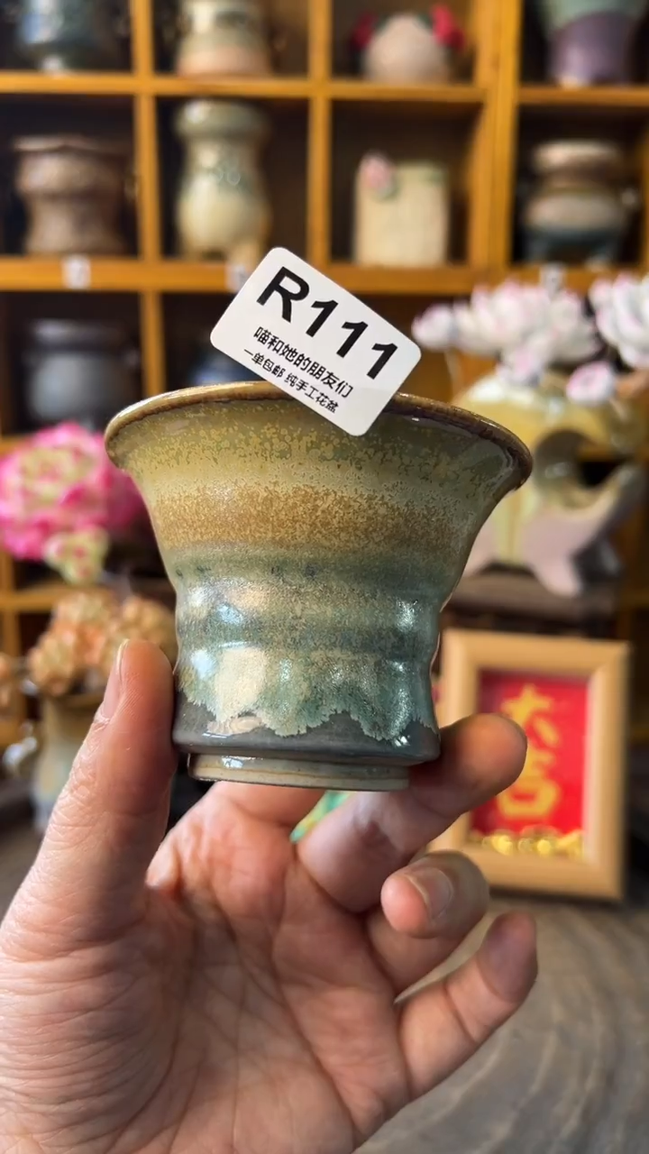 111 内口7【多肉花盆多肉盆】