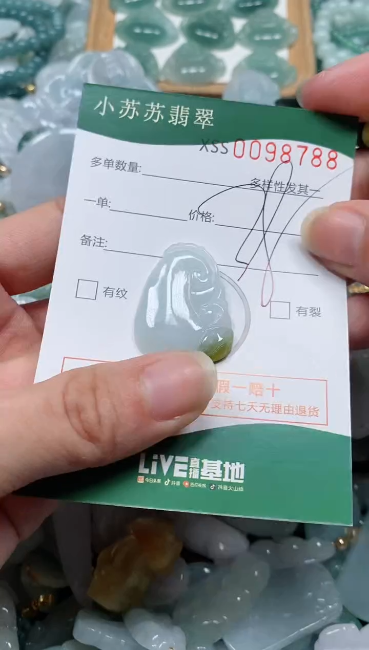 【闪购商品】翡翠颈饰未镶嵌闪购商品0098788