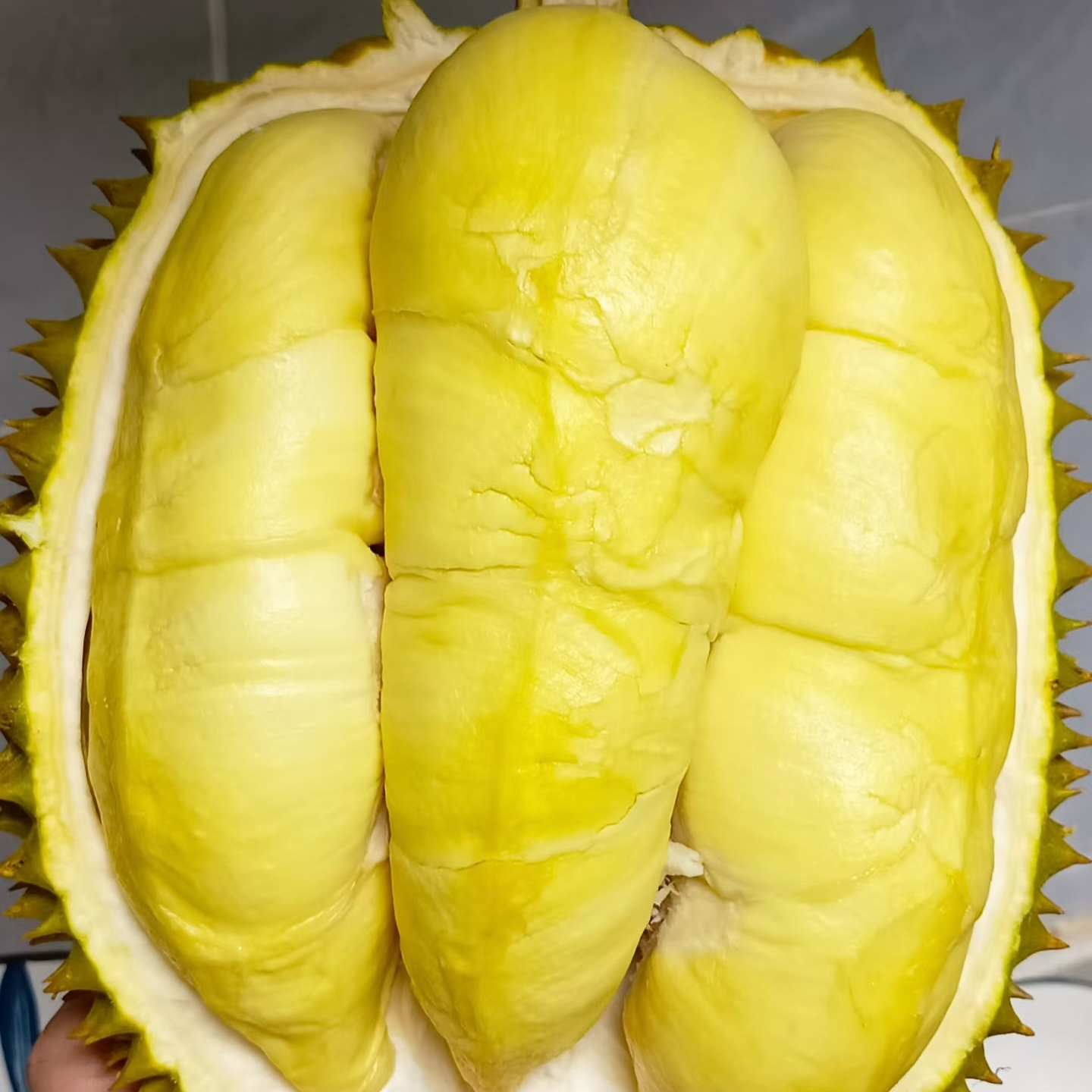 （一果一拍）泰国金枕鲜榴莲/重量3斤-8斤/核小/同城送到家金枕泰国南部