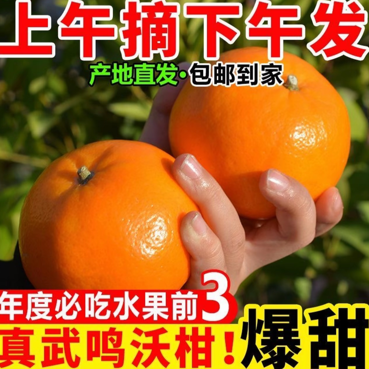 【广西武鸣沃柑】当季新鲜水果皮薄多汁香甜柑橘 J