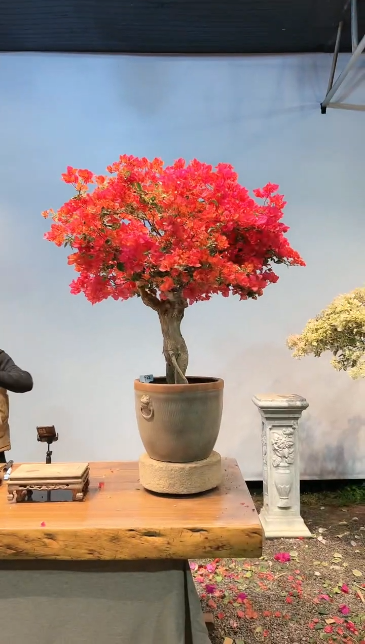 【闪购商品】aa922