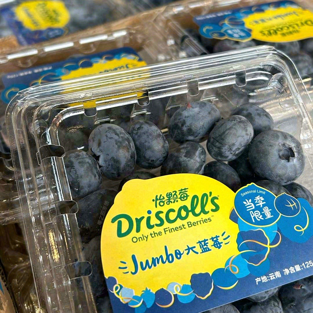 Driscoll's/怡颗莓 限量版蓝莓125g 盒装