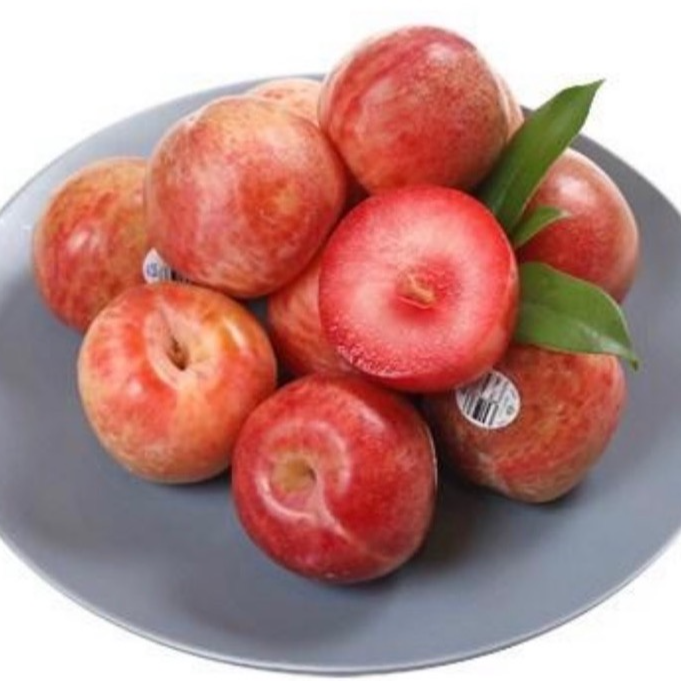 果木岛美国杏李恐龙蛋系列花花公子苗木