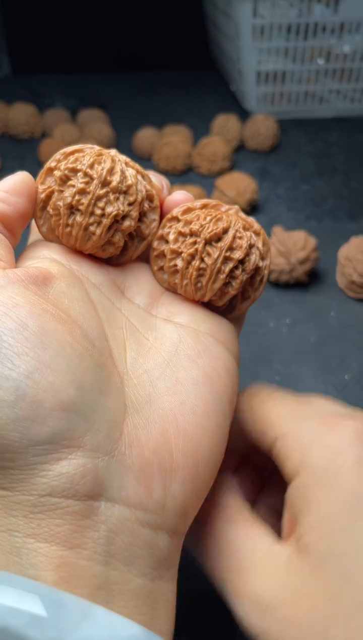 把件文玩核桃w256  盘龙纹 42尺