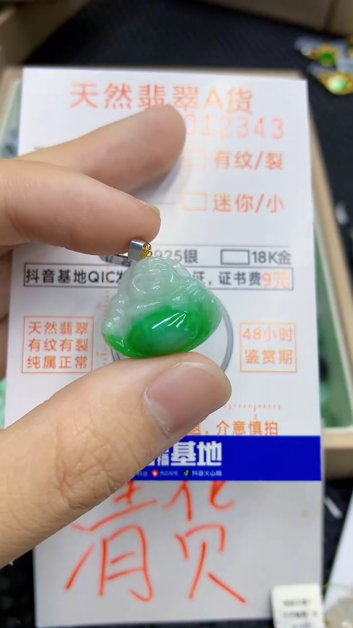 翡翠未镶嵌颈饰             1